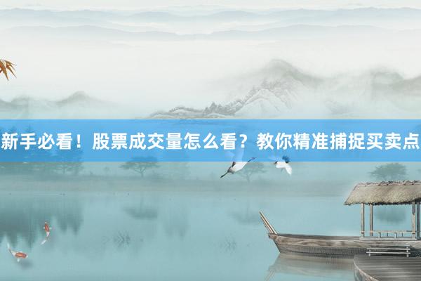 新手必看！股票成交量怎么看？教你精准捕捉买卖点