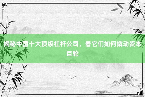 揭秘中国十大顶级杠杆公司，看它们如何撬动资本巨轮