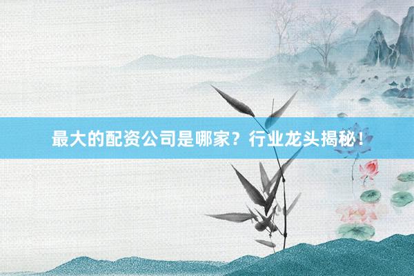 最大的配资公司是哪家？行业龙头揭秘！