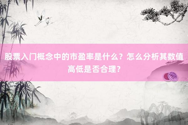 股票入门概念中的市盈率是什么？怎么分析其数值高低是否合理？