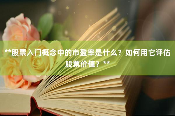**股票入门概念中的市盈率是什么？如何用它评估股票价值？**
