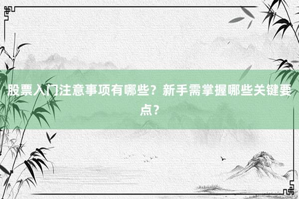 股票入门注意事项有哪些？新手需掌握哪些关键要点？