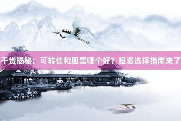 干货揭秘：可转债和股票哪个好？投资选择指南来了
