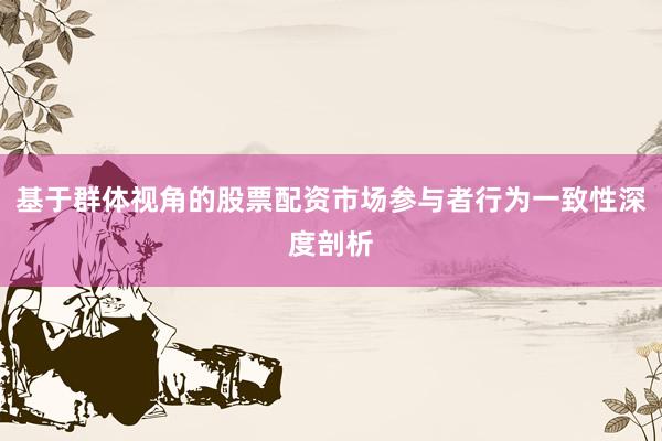基于群体视角的股票配资市场参与者行为一致性深度剖析