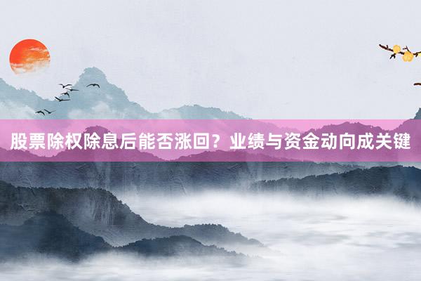 股票除权除息后能否涨回？业绩与资金动向成关键