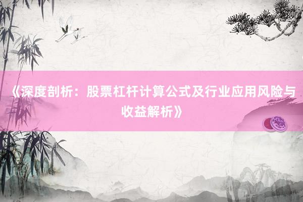 《深度剖析：股票杠杆计算公式及行业应用风险与收益解析》