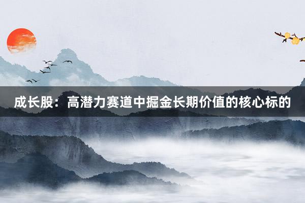 成长股：高潜力赛道中掘金长期价值的核心标的