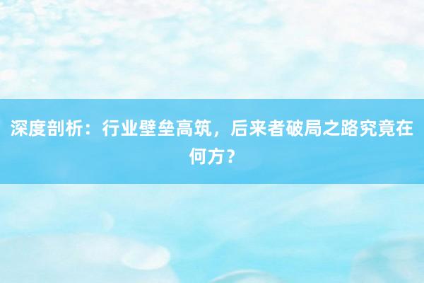 深度剖析：行业壁垒高筑，后来者破局之路究竟在何方？