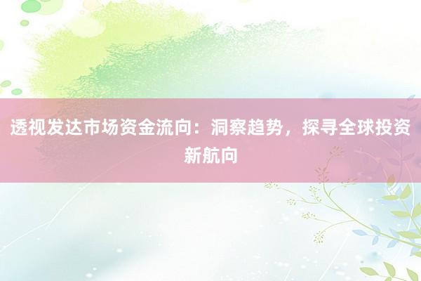 透视发达市场资金流向：洞察趋势，探寻全球投资新航向