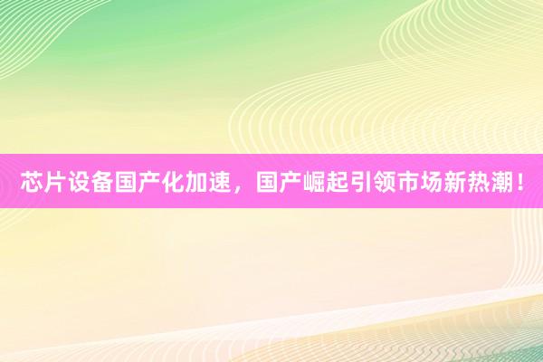 芯片设备国产化加速，国产崛起引领市场新热潮！