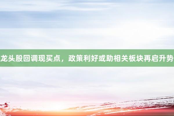 龙头股回调现买点，政策利好或助相关板块再启升势