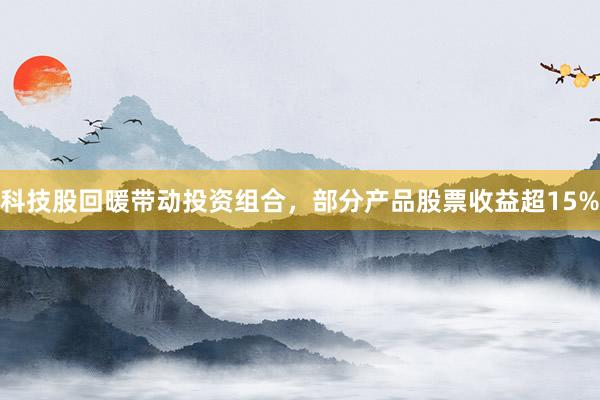 科技股回暖带动投资组合，部分产品股票收益超15%