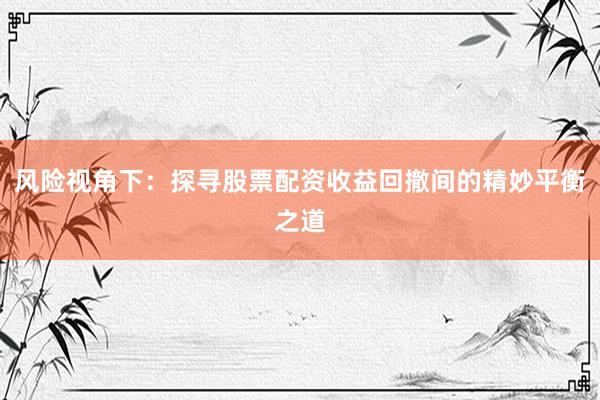 风险视角下：探寻股票配资收益回撤间的精妙平衡之道