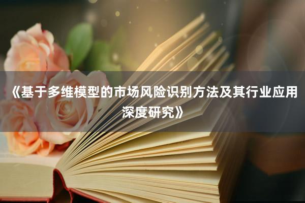 《基于多维模型的市场风险识别方法及其行业应用深度研究》