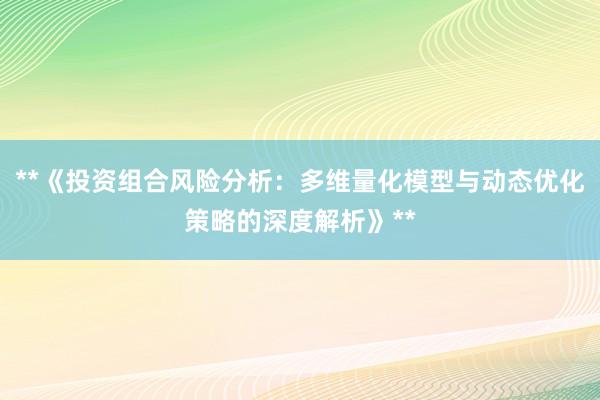 **《投资组合风险分析：多维量化模型与动态优化策略的深度解析》**