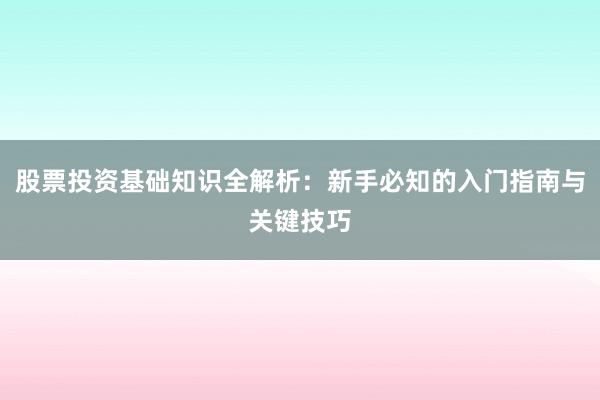 股票投资基础知识全解析：新手必知的入门指南与关键技巧