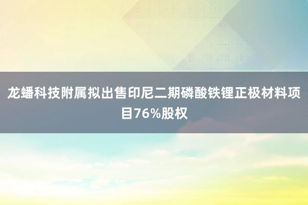 龙蟠科技附属拟出售印尼二期磷酸铁锂正极材料项目76%股权