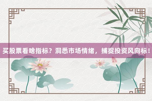 买股票看啥指标?洞悉市场情绪,捕捉投资风向标!